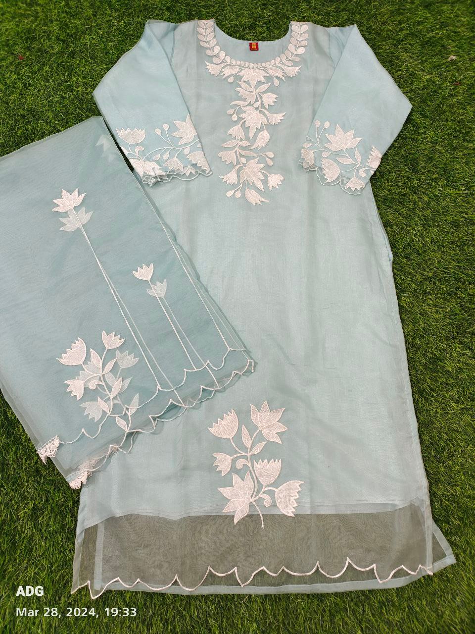 fancy top penal & dupatta